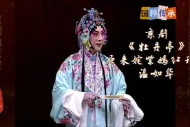 《牡丹亭》原来姹紫嫣红开遍-温如华视频封面
