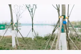 山东省济南华山公园9，东南部，两个广场，一个正在建设中