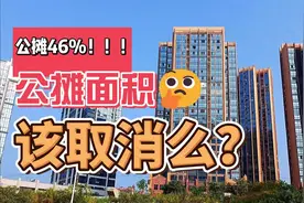 收房时公摊占46%，搞清楚公摊背后的逻辑，原来取不取消都一样视频封面