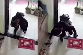就是这个味？小区出现怪癖男子，闻味后偷走两双高跟鞋视频封面