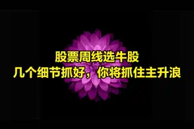 股票周线选牛股，很重要的几个细节作对，你将成功收获主升浪视频封面