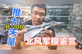 【北风军模鉴赏】之歼-10B推力矢量验证机视频封面