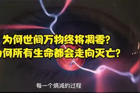 为何世间万物终将凋零？为何所有生命都会走向灭亡？视频封面