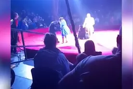 惊险！马戏团棕熊表演跳舞时 突然发狂攻击眼前的怀孕女驯兽师视频封面