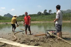 500块租鱼塘养鱼，半年后抽干水场面太震撼了，收获上百斤大货视频封面