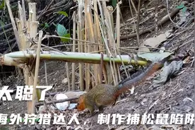 海外狩猎达人，制作捕松鼠陷阱，学会它荒野求生再也不用3天饿9顿视频封面