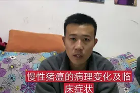 慢性猪瘟的临床症状和病理变化是什么？来学习一下视频封面