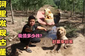 金毛从河里捞出个宝贝，好像印章之类的古董，这东西能值多少钱？视频封面