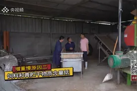肉牛增重有门道，“干物质”可少不了视频封面