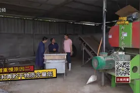肉牛增重有门道，“干物质”可少不了视频封面