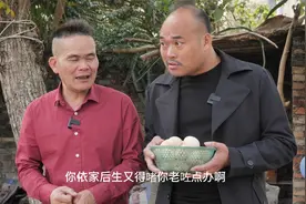 乡村搞笑存鸡蛋视频封面