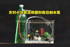 农村小伙用塑料瓶自制水泵，有了这个方法，以后在家养鱼不用发愁视频封面