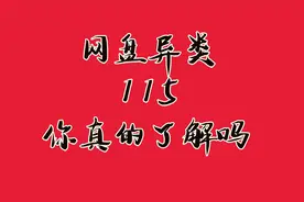 网盘“异类“115居然还活着？但你真的了解它吗？视频封面