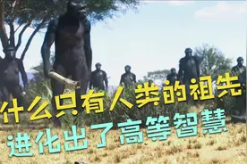 为什么只有人类的祖先进化出了高等智慧？是偶然还是必然？视频封面