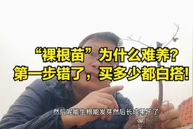 网购的花卉为啥“难养”？第一步错了，买多少都白搭！视频封面