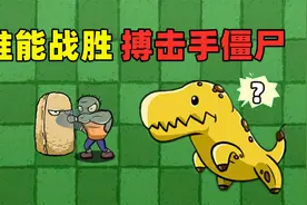 植物大战僵尸：谁能战胜“搏击手僵尸”？高坚果：我是沙包？视频封面