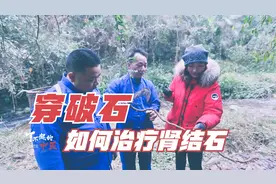 一种深埋地下的树根，民间中医如何治疗3种结石和颈腰椎病？视频封面