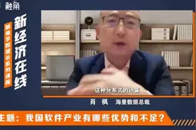 我国发展软件的优势和不足？视频封面