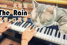 【钢琴x口风琴】猫听久石让也陶醉，The Rain-菊次郎的夏天视频封面