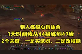魔兽世界怀旧服：猎人练级速度想要快，必须买弓和改技能视频封面