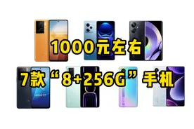 预算1000元左右，这7款“8+256G”的大内存手机，能用好几年！视频封面