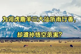 为何虎鹿羊三大仙祈雨行善，却遭孙悟空杀害？视频封面