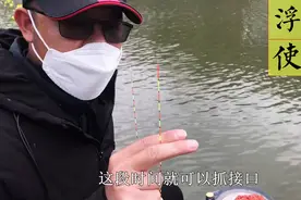 浮漂长短胖瘦有别，钓鱼时该怎么选用？视频封面