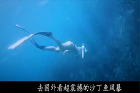 人均2000就能出国玩儿？去菲律宾看独一无二的沙丁鱼风暴视频封面