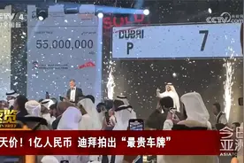 天价！1亿人民币 迪拜拍出“最贵车牌”视频封面