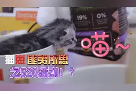 互相说啥都不懂，但貌似都能懂，这就喵与我的关系