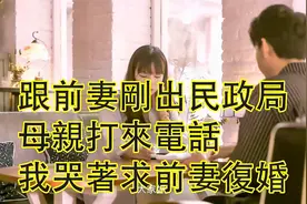 2020{情感故事}跟前妻刚出民政局|母亲打来电话|我哭着求前妻復婚视频封面