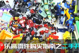 【鱼羊砖坊】乐高新品二手捡漏 零件购买指南之二手零件开箱视频封面