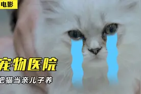 60岁阿姨把小猫当“儿子”养，满脸宠溺尽是心疼，医生都看懵了