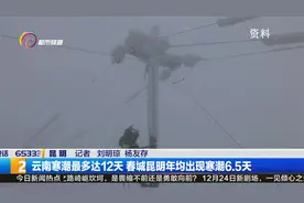 云南寒潮最多达12天 春城昆明年均出现寒潮6.5天视频封面