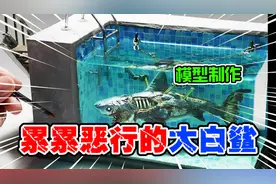 模型制作：累累恶行的大白鲨，终将受到惩罚！视频封面