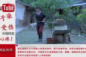 李子柒手受伤，国外网友：伤得那么严重，太心疼！