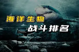 海洋生物战斗力排名，一个比一个猛