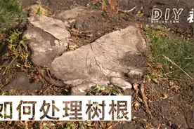 如何处理树桩和树根？如何阻止树根发芽？如何挖出树根？视频封面