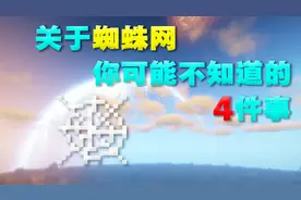 我的世界：蜘蛛网你不知道的4件事，小白：同样是射箭这不公平！