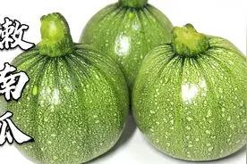 正是吃嫩南瓜的季节，教你简单家常做法，鲜香不出水，太下饭了