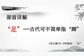 40、《说文解字》540部首—“足”，可不仅仅是“脚”的意思！视频封面