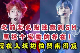 这哥的吸粉能力也太强了/说边伯贤是南韩的天才爱豆一点也不夸张视频封面
