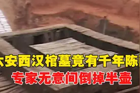 2006年，六安出土西汉棺墓，竟有千年陈酿，专家无意间倒掉半壶！视频封面