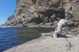 惊呆了！猫咪竟然可以带钓友去海边钓鱼！...视频封面