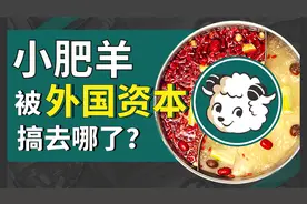 火锅一哥小肥羊，拥抱资本后为何陨落？#西瓜财子#视频封面