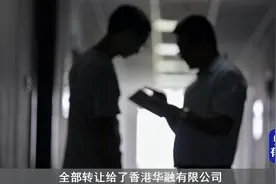 200亿元资产来历，海南高院张佳慧夫妇，还有他们背后的人和事视频封面