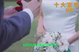 十大宝石之钻石视频封面