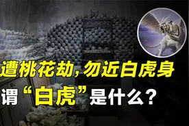 正所谓：宁遭桃花劫，勿近白虎身，所谓的“白虎”究竟是何物？视频封面