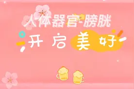一分钟小知识，了解我们的身体，身体器官-膀胱视频封面