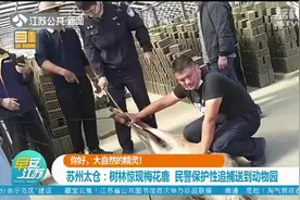 镇江句容：七只獐子“安家”宝华山国家森林公园视频封面